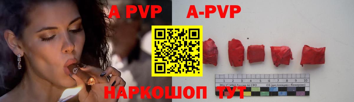 A PVP СК КРИС Долгопрудный