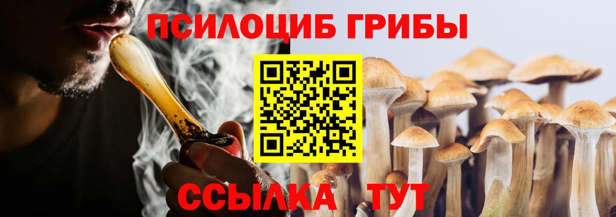 Долгопрудный  Галлюциногенные грибы мицелий  Вход с VPN  Псилоцибиновые грибы Psilocybe 